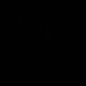 Meet your Posher, Boi